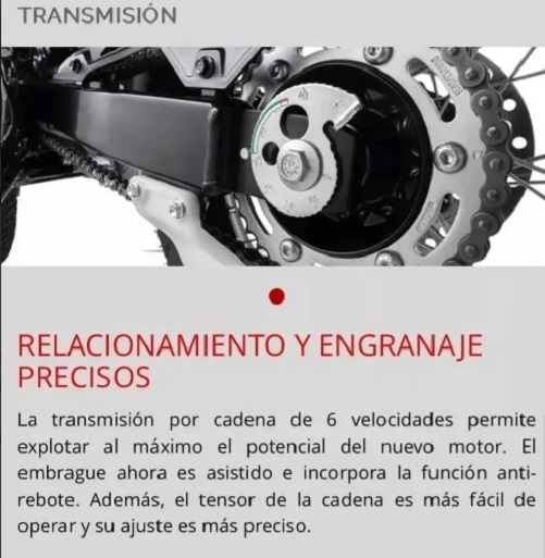 trasero